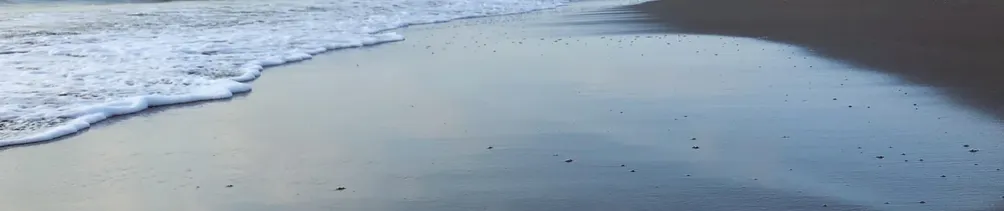 有待 𝐒𝐨𝐮𝐧𝐝𝐜𝐡𝐞𝐜𝐤