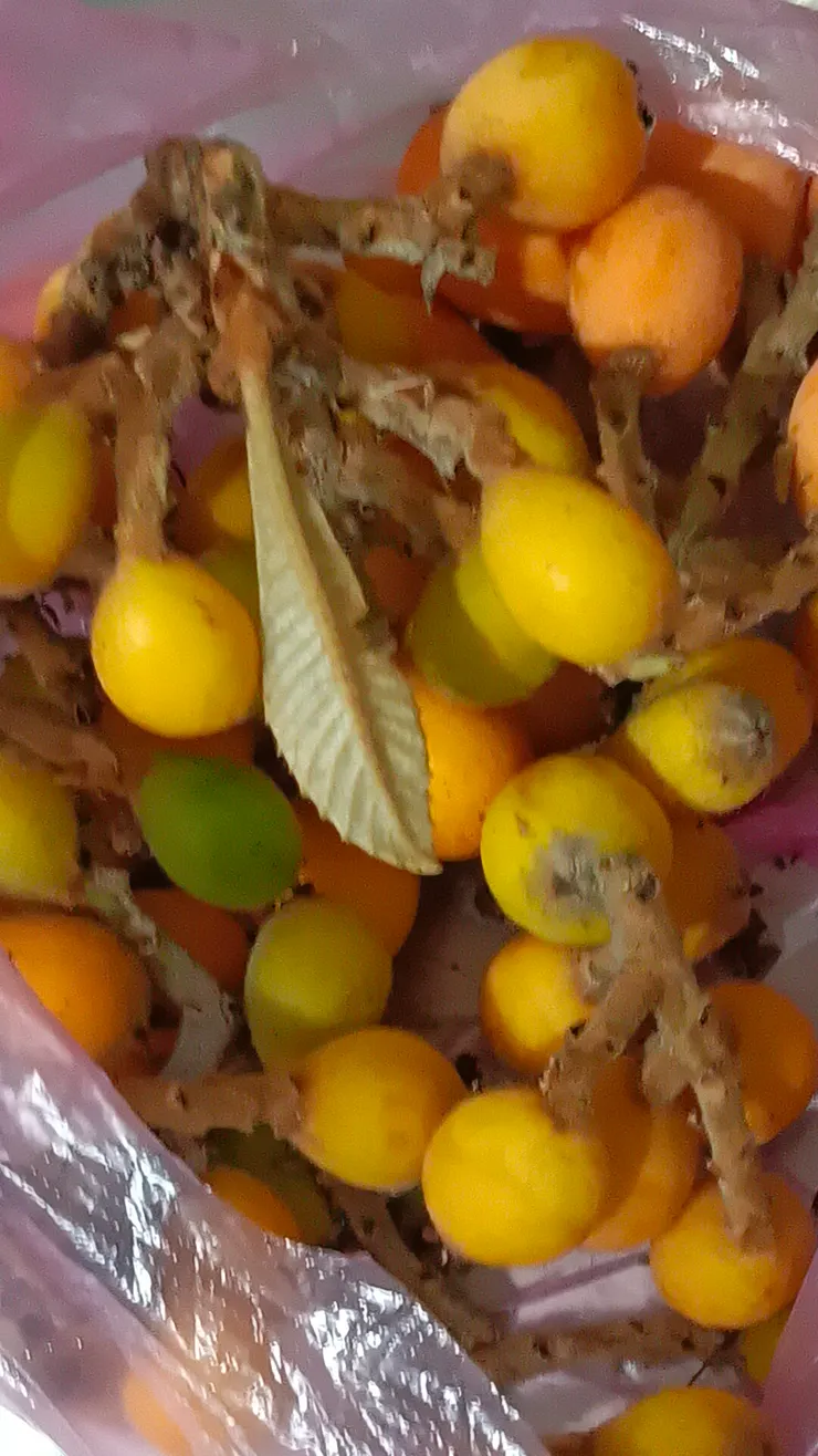 沒有看過實體，不要認為西瓜永遠都是一片片的