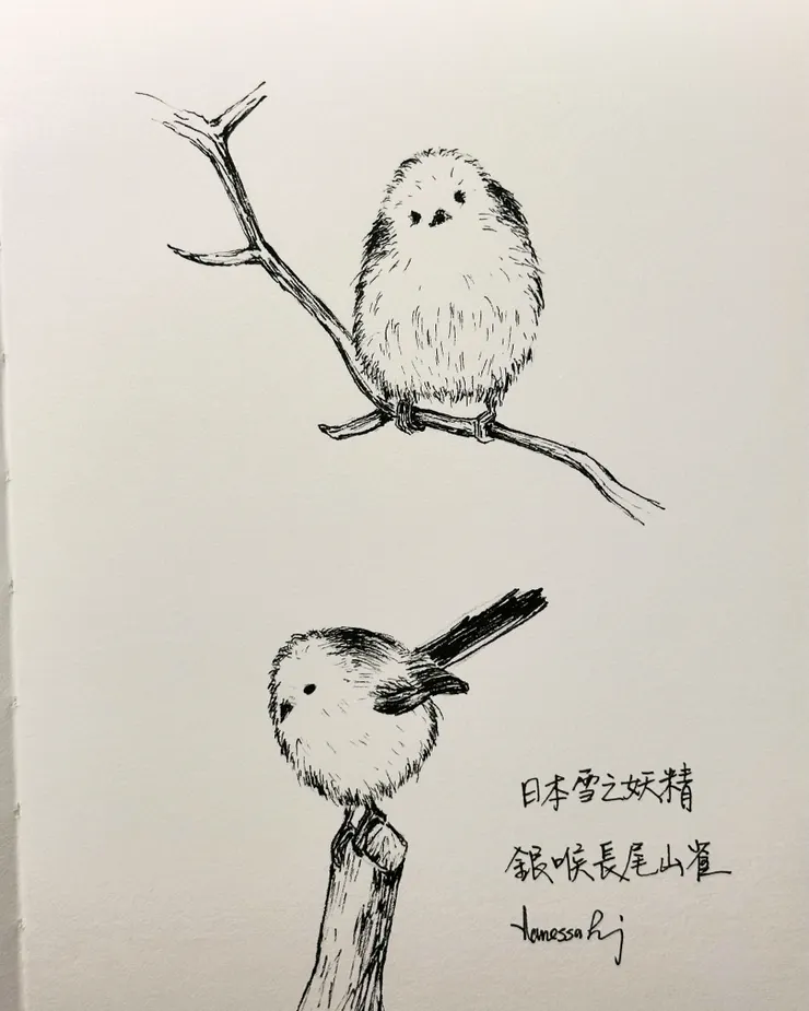 銀喉長尾山雀~萌萌的"雪之妖精"