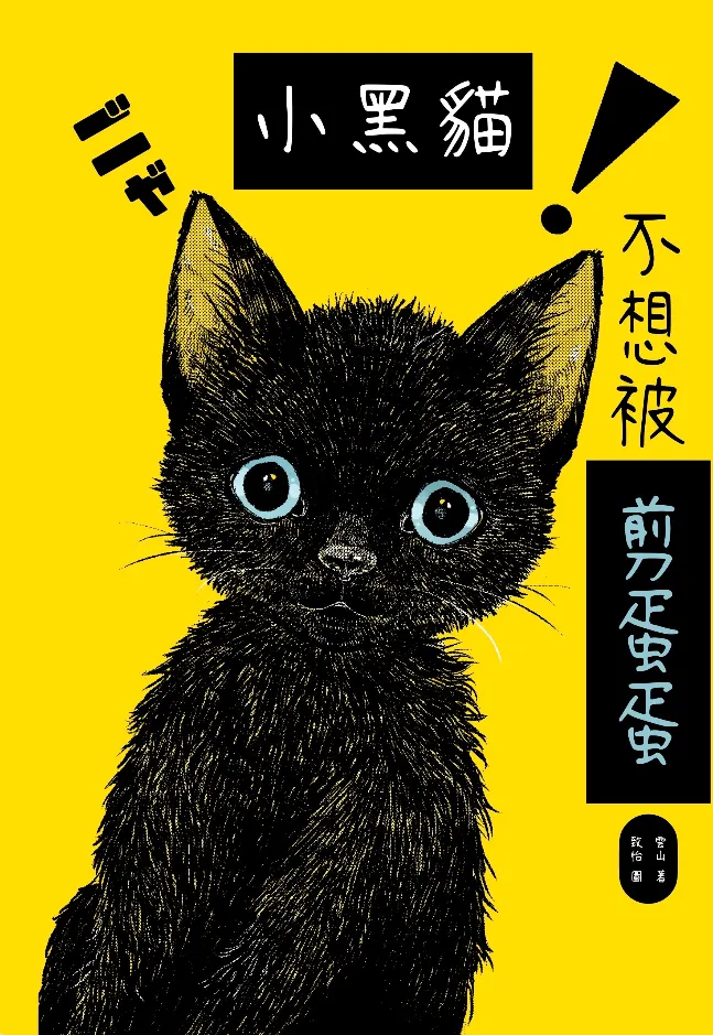 我們家的小黑貓也請多多指教喵！