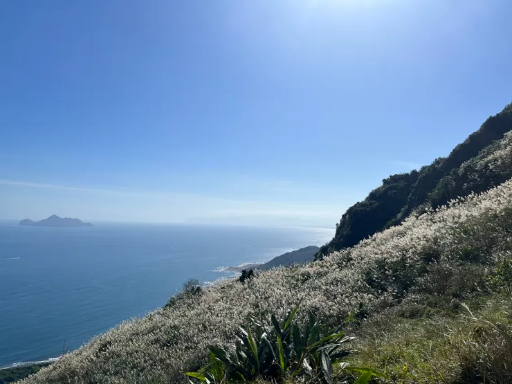 另一側的芒草與大海