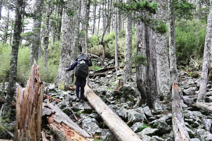 ▲森林營地(很想在這邊紮營就好)