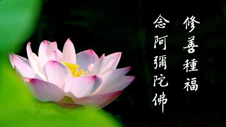 專心持念「阿彌陀佛」萬德洪名,期生淨土