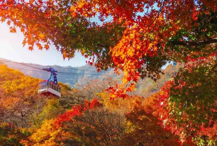 韓國賞楓景點推薦：內藏山纜車