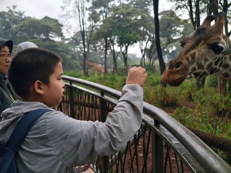 最後孩子都克服了恐懼開始接觸