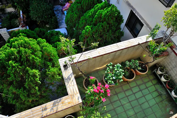 2022年1月，已決定翻新舊居，拍照留念。從4樓陽台俯拍3樓陽台與庭院。