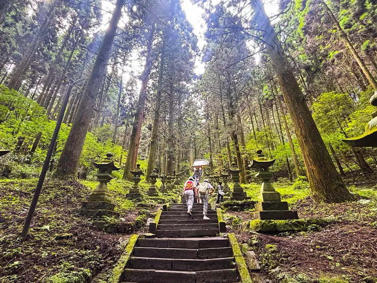 參道兩側的石燈籠,佈滿光陰的青苔(自行拍攝)