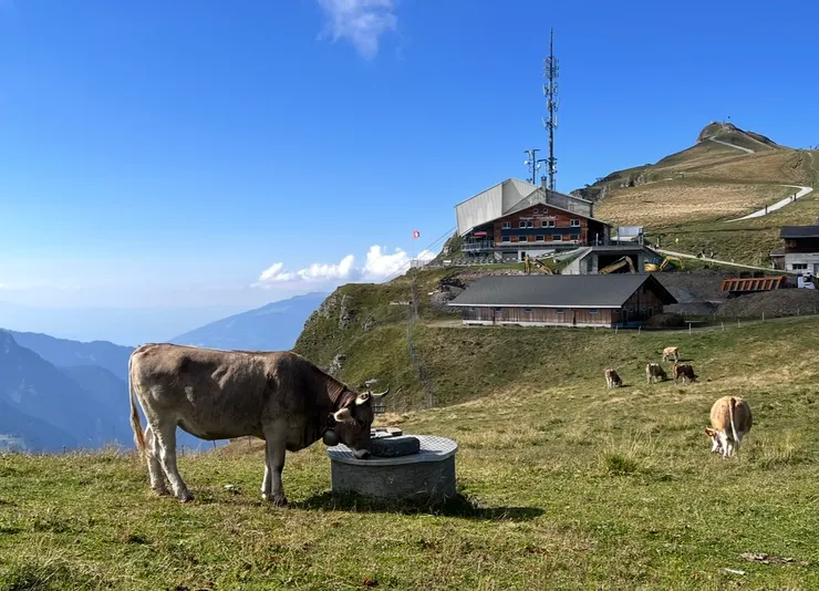 美好的畫面，不想錯過