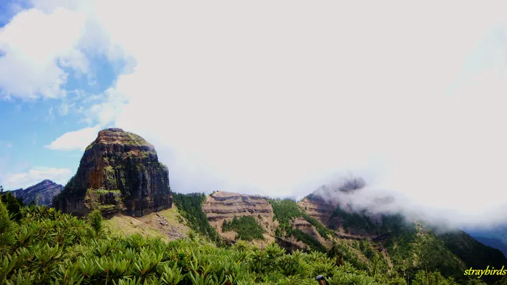 ▲大霸尖山：酒桶狀孤峰特立，名聞遐邇的「世紀奇峰」。