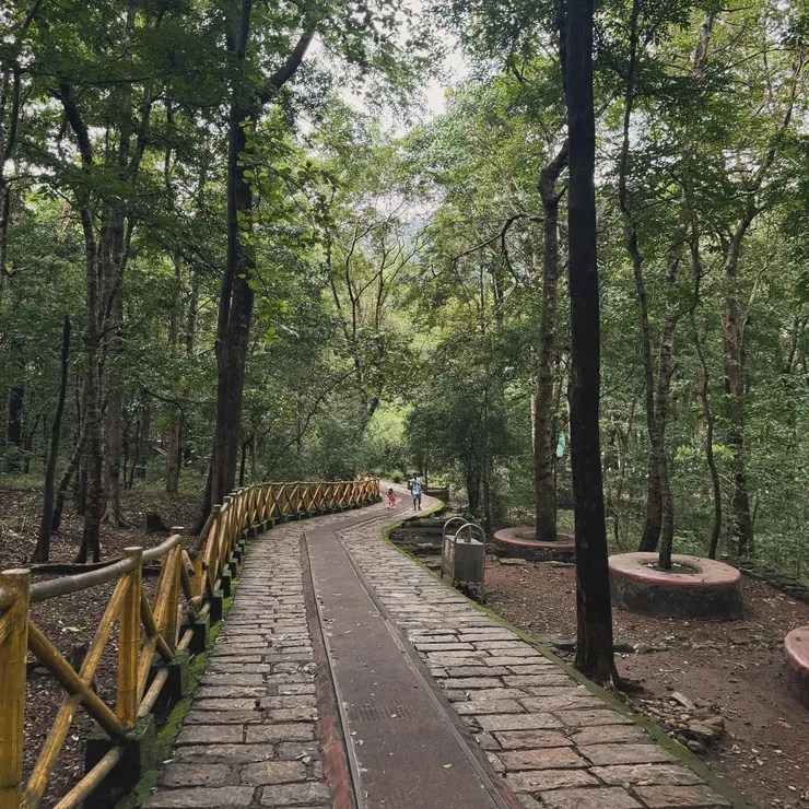 99%印度人-包含叔叔，穿拖鞋或涼鞋走在這種路上