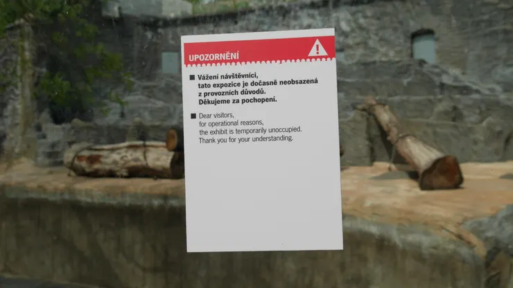 什麼，北極熊居然不在！