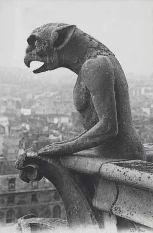 日常中的醜陋—這是巴黎聖母院的滴水嘴獸。獅、狗、蛇、鷹，間或還有幻想中的合成怪獸……滴水嘴獸通常都是些怪誕奇特的雕像。