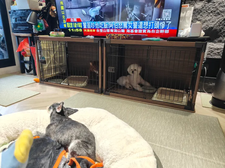 六年後的客廳變得更加溫馨