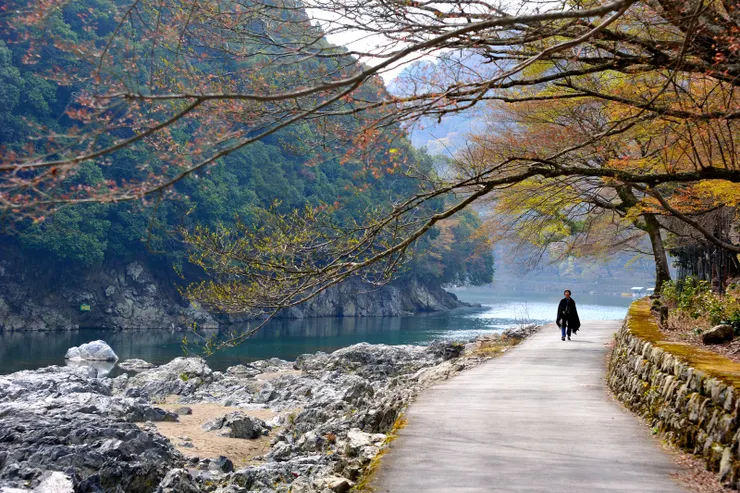 沿川南信步  楓葉初發  絕景千光寺前導！在中之島向西遙望嵐山，一片片花開燦爛，不覺沿著大堰川南岸小路朝之走去。