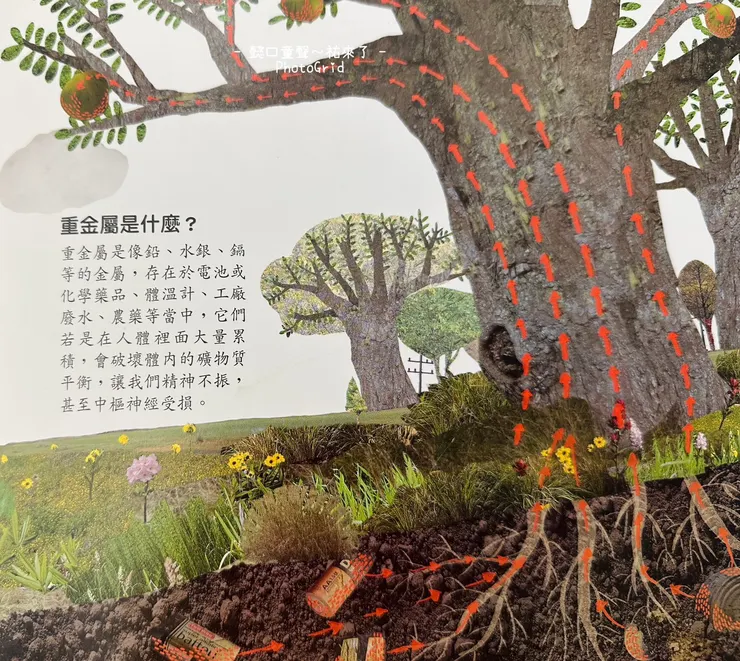 透過這個圖片,輕鬆跟五歲二寶解釋了重金屬。