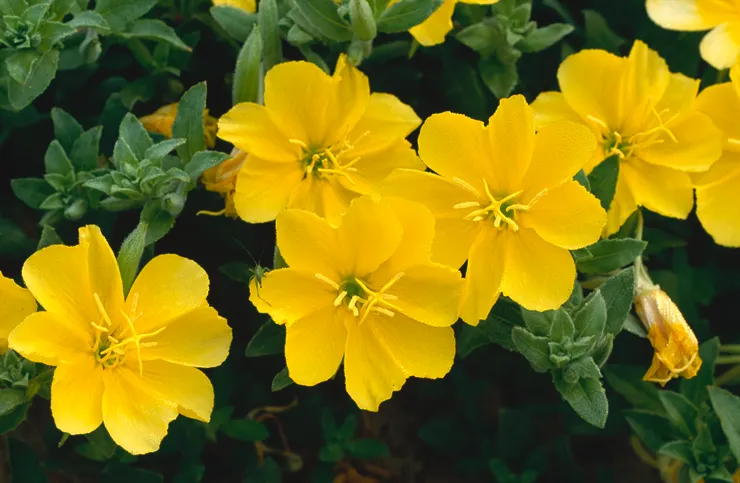 圖 / 國家公園典藏