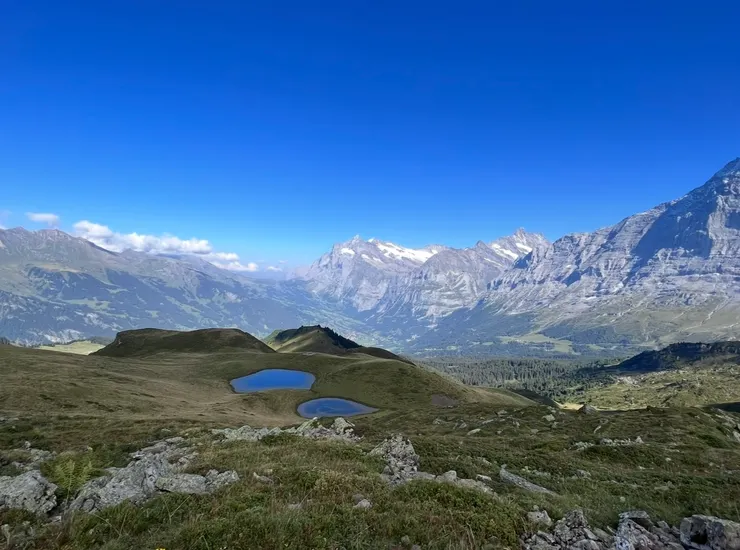 走走停停，停停走走，這麼動人的畫面，值得了