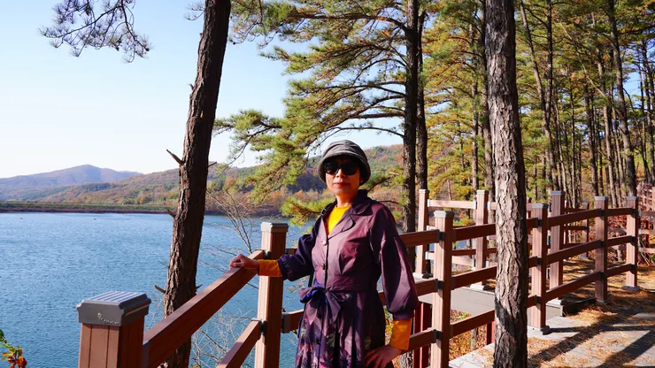 林蔭棧道賞湖景