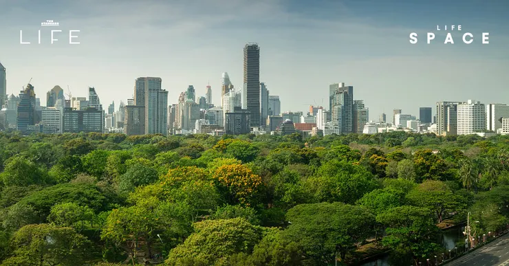 【原文】The Standard – 20 อาคารในกรุงเทพฯ ที่แค่เดินเข้าไปก็ได้สัมผัสกับธรรมชาติ!