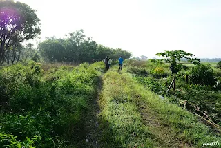 此段改線段已變成一般田邊農路,往烏樹林方向(7348)
