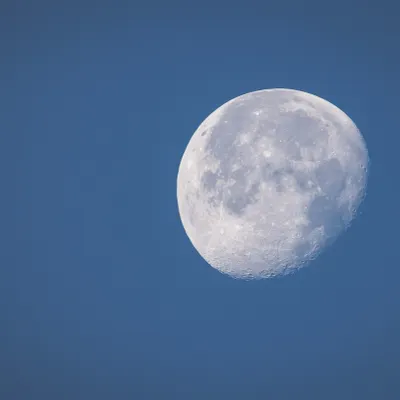 𝗹𝘂𝗻𝗮𝘁𝗶𝗰的沙龍