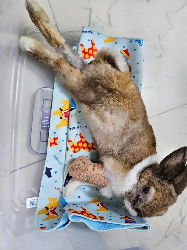 每天都有量體重喔