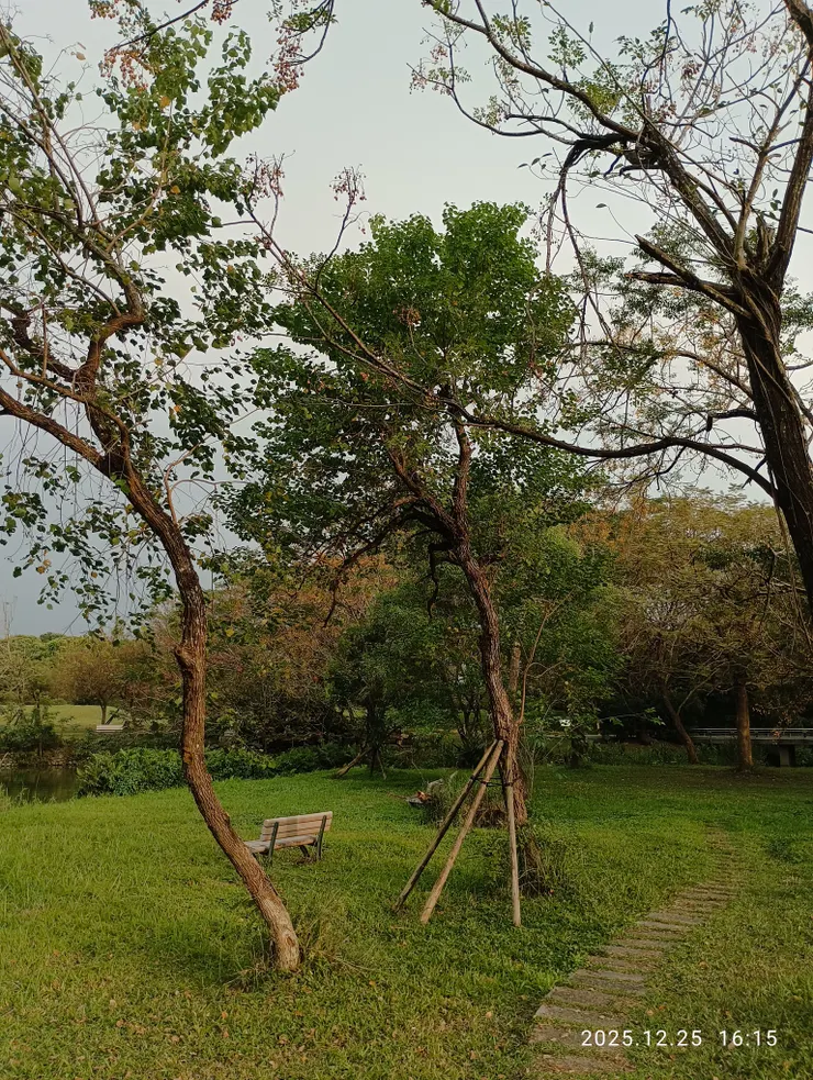 烏桕別徑相思染