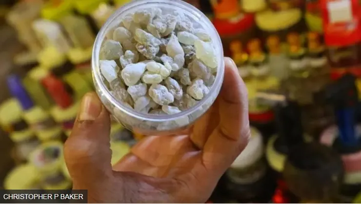 圖說 : 乳香等級看顏色，顏色愈白，價值愈高（Credit: Christopher Baker）