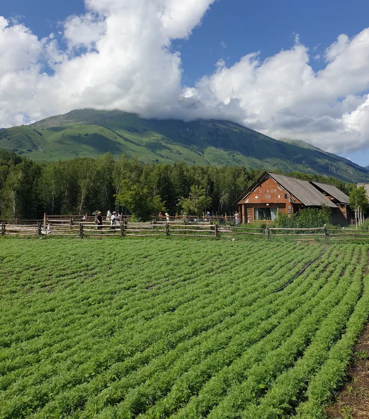 木屋在群山、森林、木柵欄與農耕田中，更顯古樸有韻味