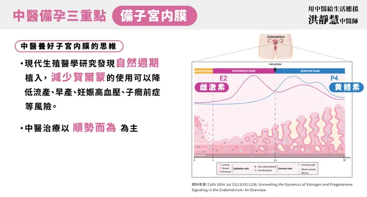中醫養好子宮內膜的思維