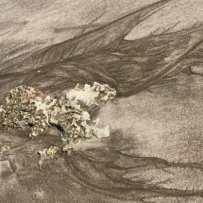 Christine Lee 的藝術沙龍