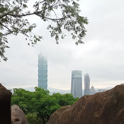 減熵清淨自在行