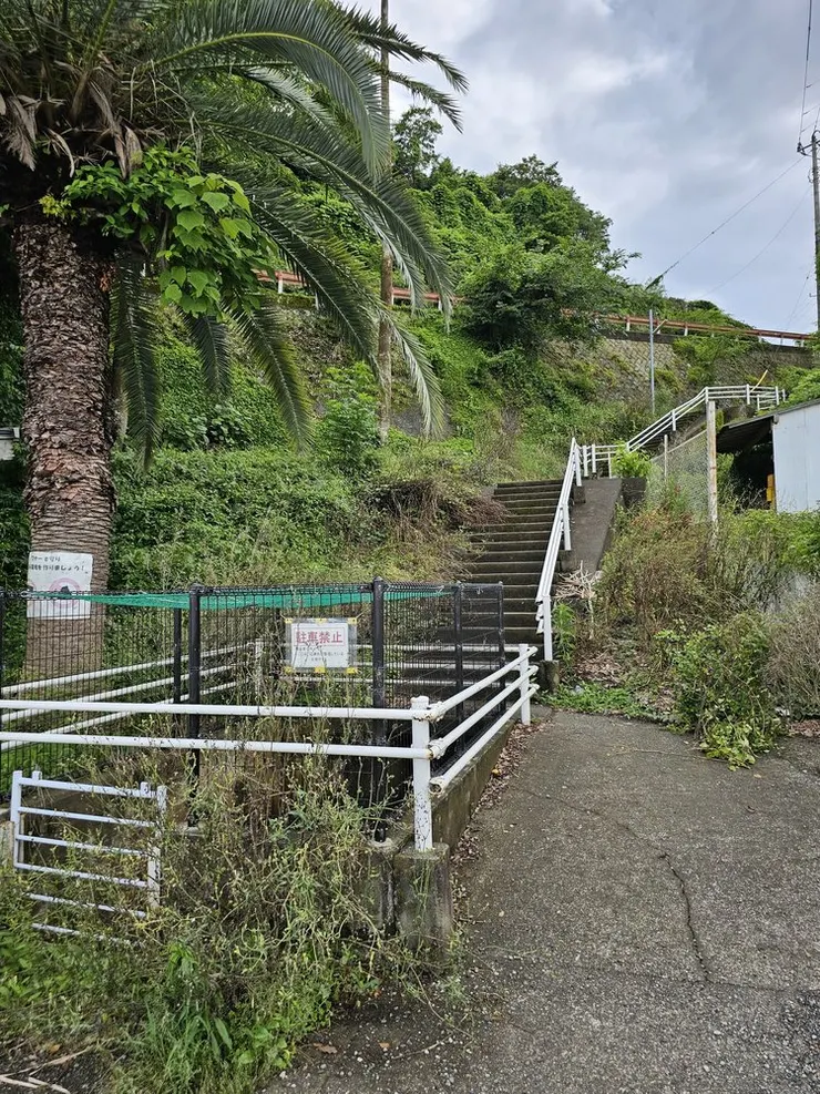 公車候車亭旁就有樓梯能通往剛剛前面的路口，應該會比較好走一點