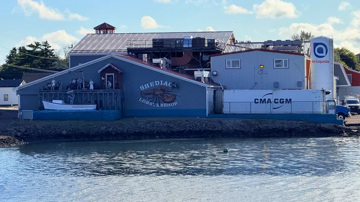 龍蝦產業是希迪亞克重要經濟支柱