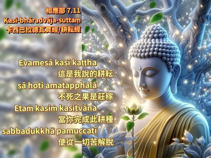 佛陀法語 | 關於修行