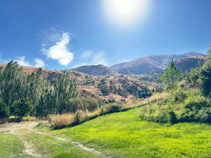 青天綠地，讓人好想定居啊