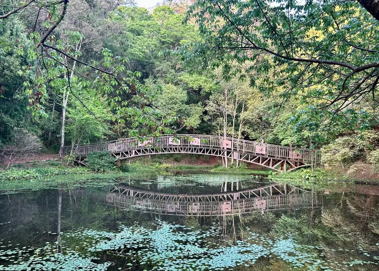 圖08 自然教育中心旁的木棧橋倒影美景