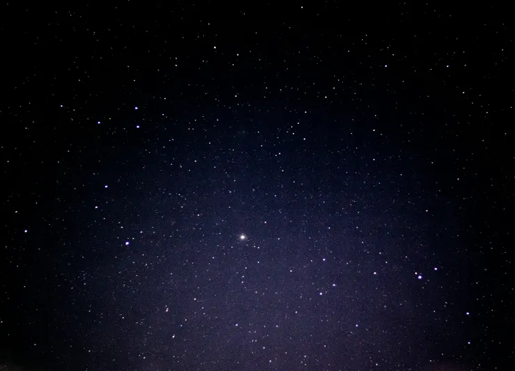 圖片來源｜Unsplash