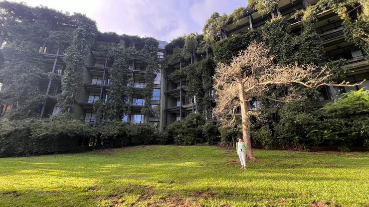 吃過早餐陽光閃耀