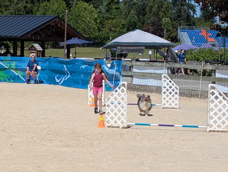 女孩訓犬師和狗狗完成比賽後，獲得全場喝采！