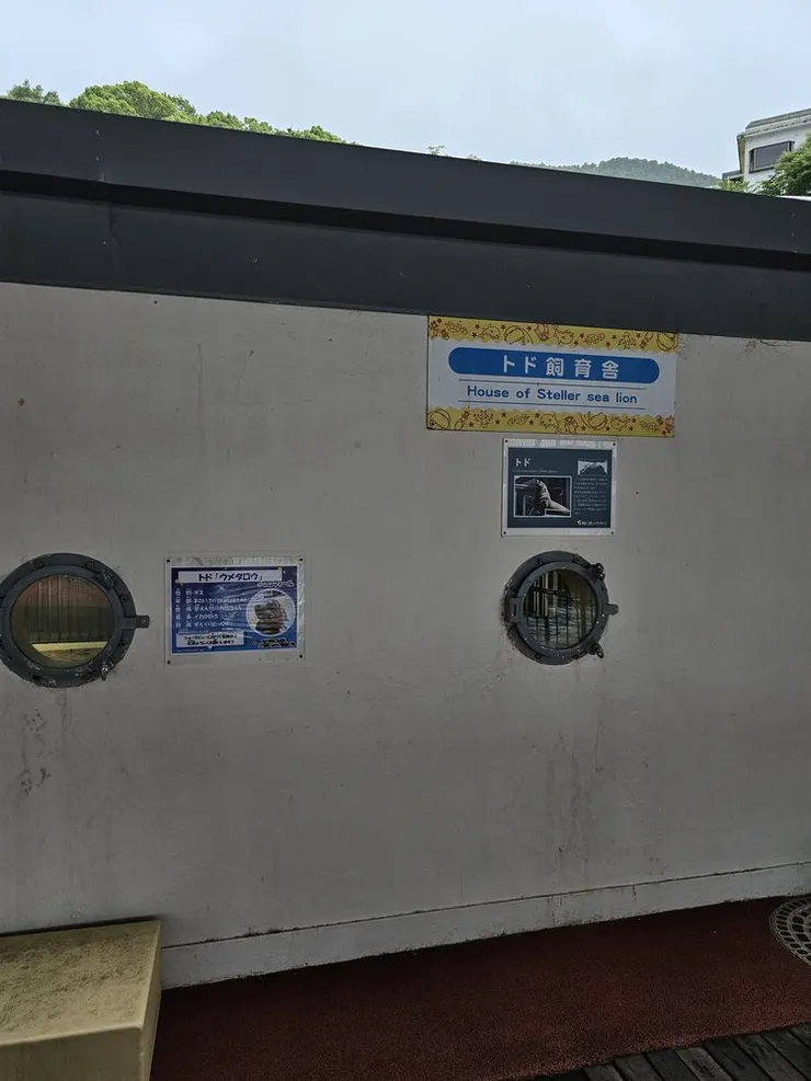 海獅飼養館，不過看不太清楚，也是有小水槽