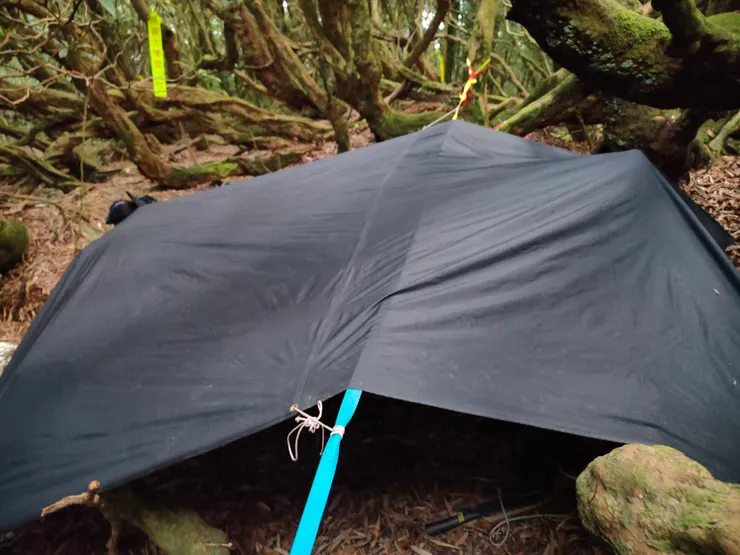 當晚溫暖的小窩，平坦避風的營地，以迫降的觀點來看，簡直是尊爵不凡的待遇。