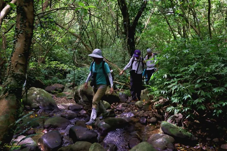古道有幾處越溪處,清澈的溪流讓古道充滿活力及生機。