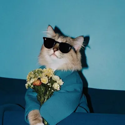 漂浮中的工程師