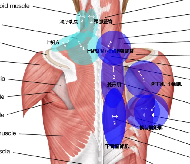 病痛者的智慧 XD