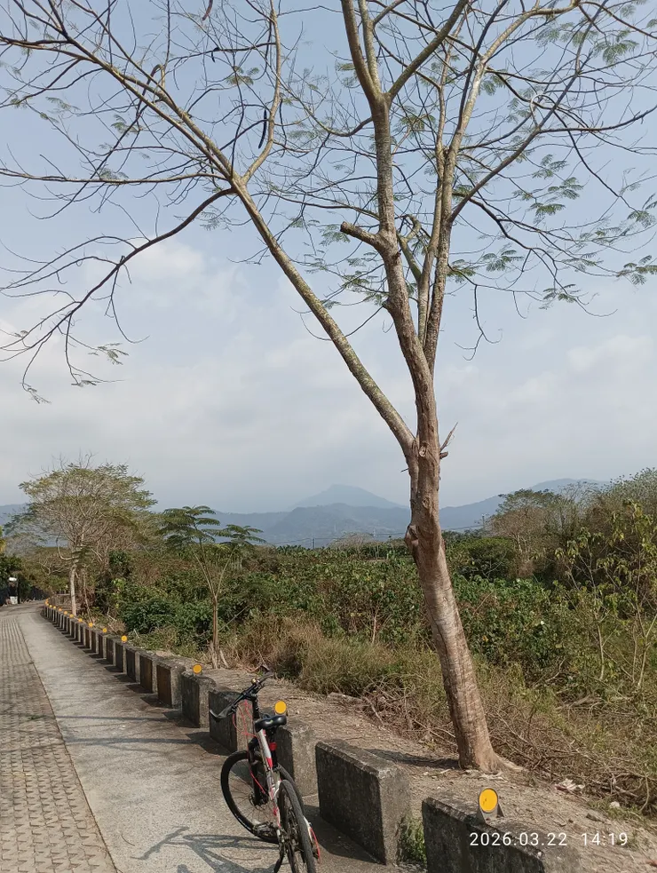 可惜春心連天草，皆自拍攝