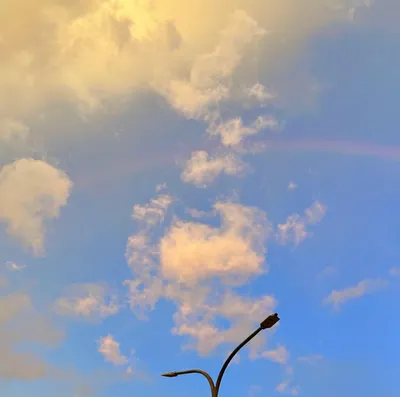 你笑瞇了眼，這場雨總算還是被你等到了