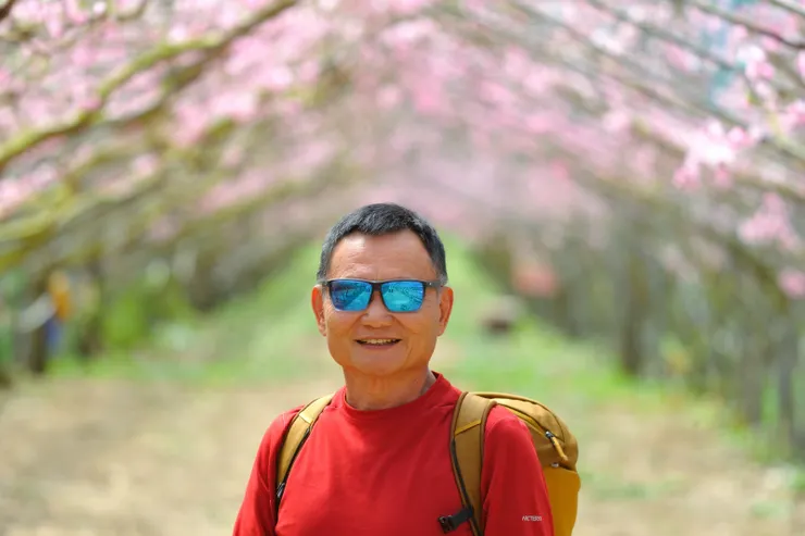 【桃花廊靠鐵桿撐起出乎意料 遠攝近拍費心截取最佳樣貌】