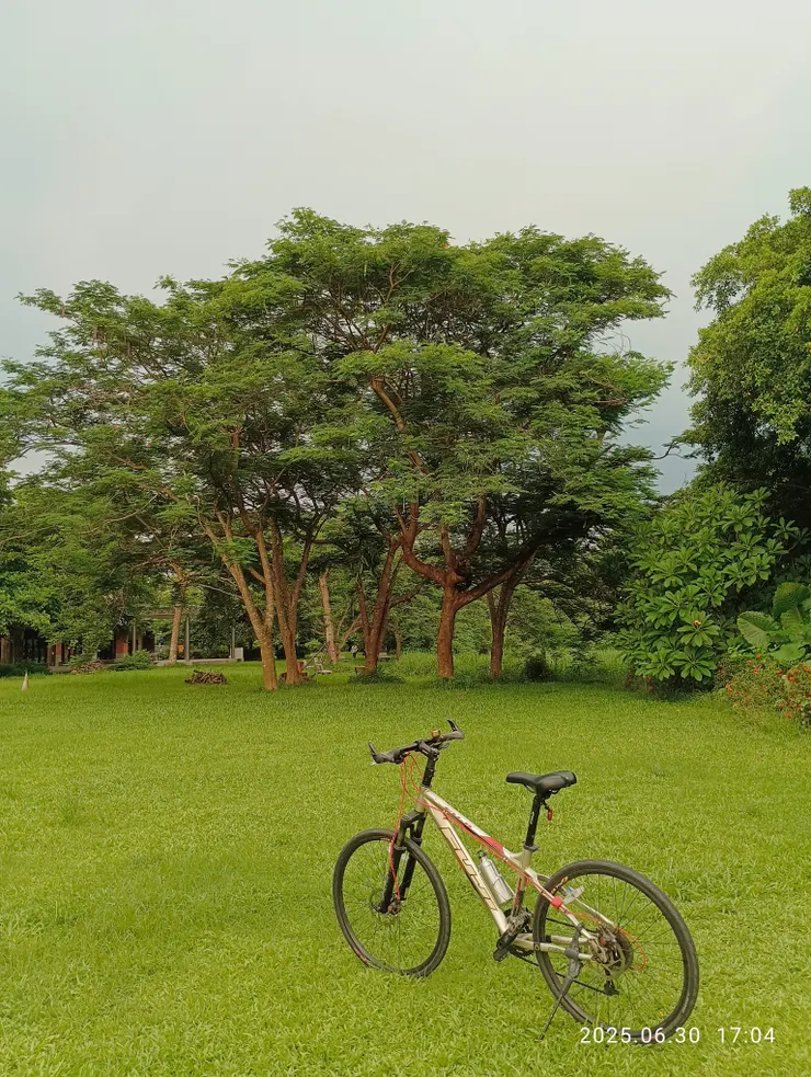 遨遊旅人/孤獨/寂莫爛漫