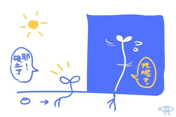 植物延長。RS 繪製